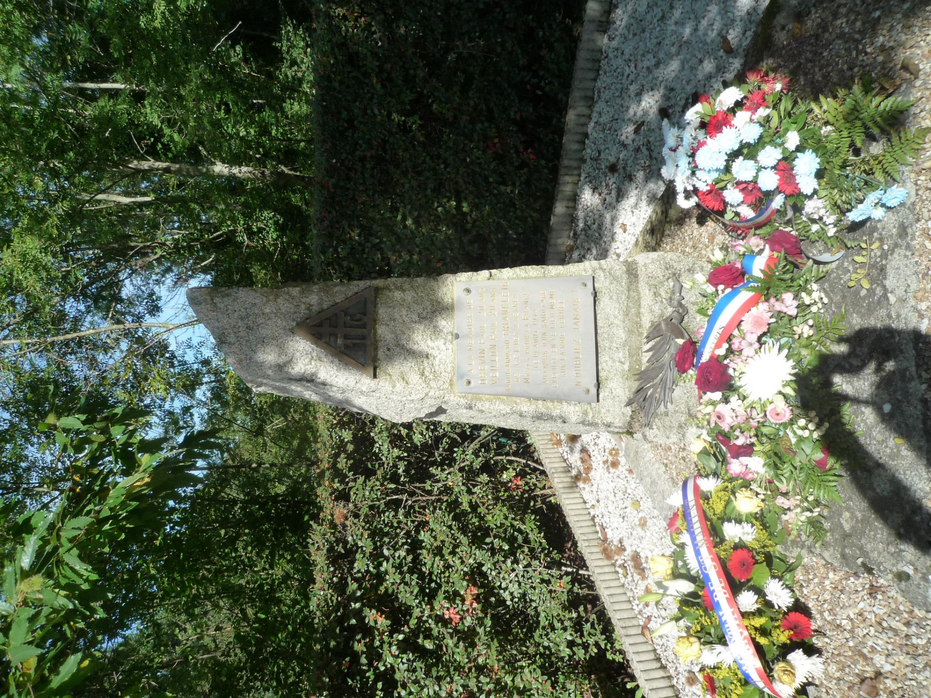 P1150947