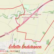 Eclette endurance 1245887