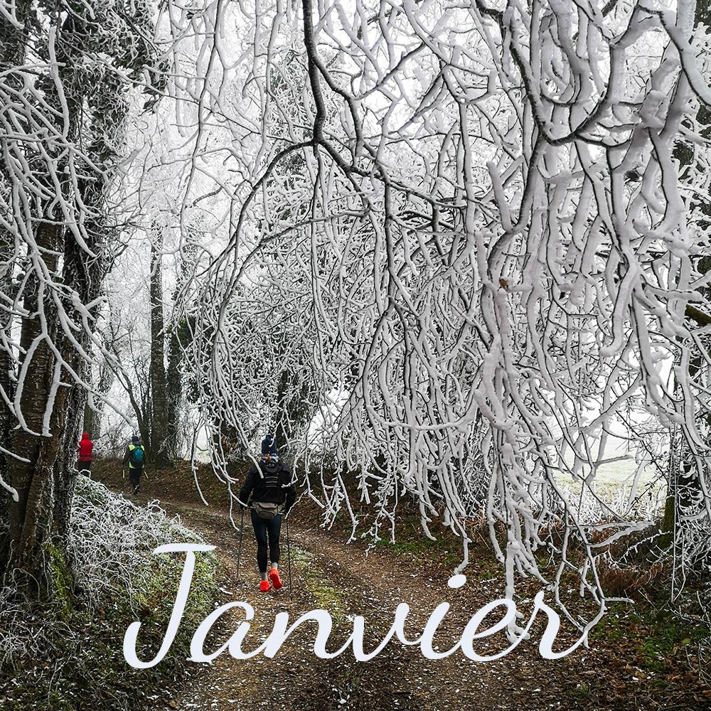 Janvier 2023